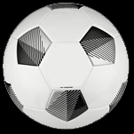 Futebol Feminino